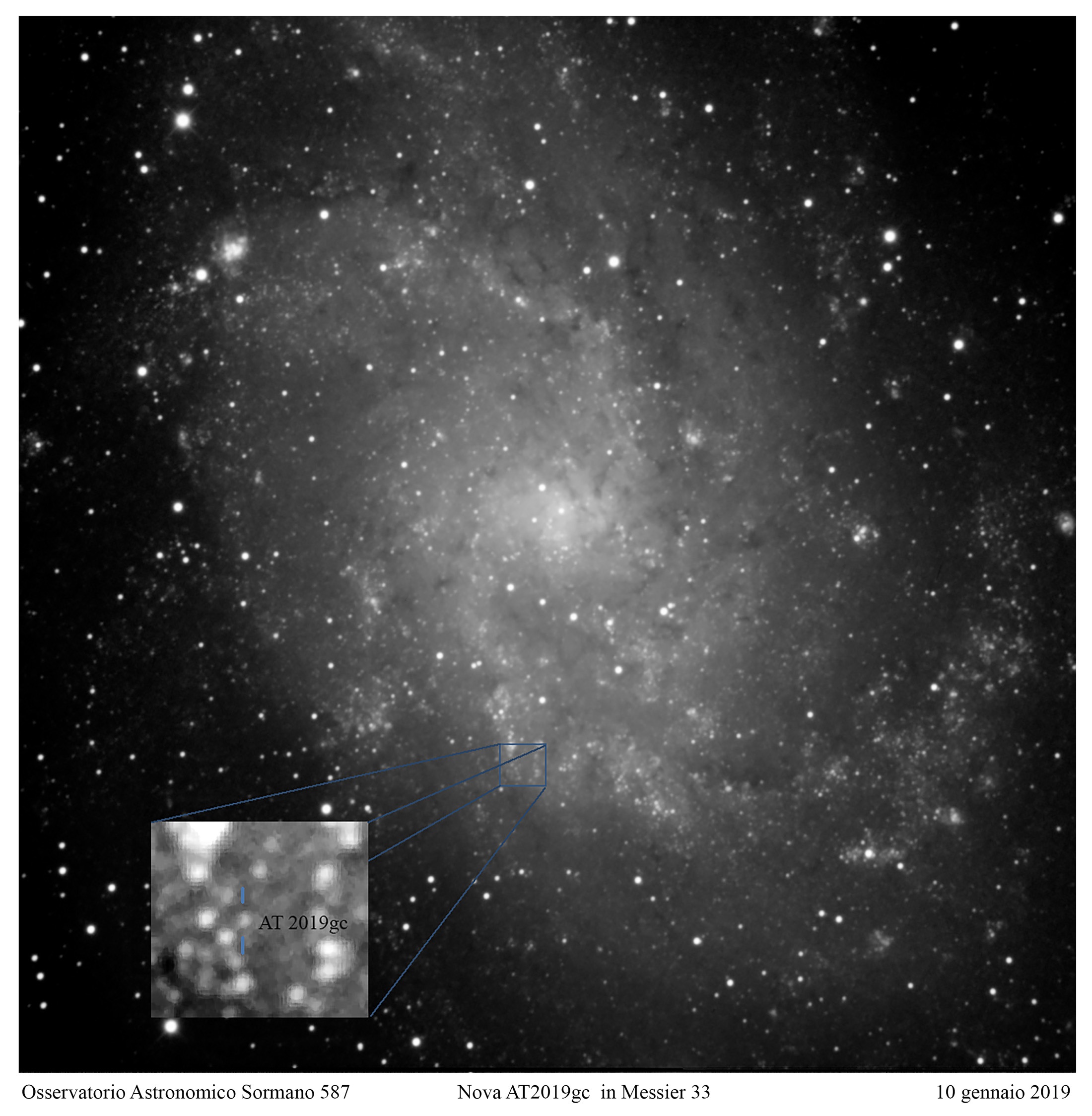 Novae in M31 e M33
