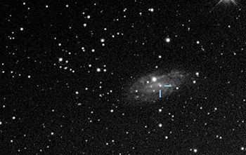 Supernovae in NGC 337 e in UGC 2855