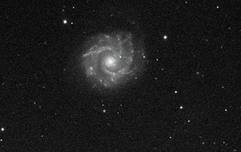 Supernova in NGC 3631 e NGC 3184