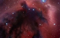 LDN 1622: L'Uomo Nero in Orione