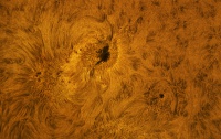 Macchia Solare AR 2835