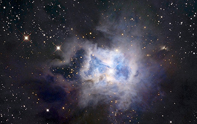 Iris Nebula, bellezza ereditaria