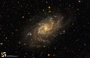 Galassia del Triangolo (M33)