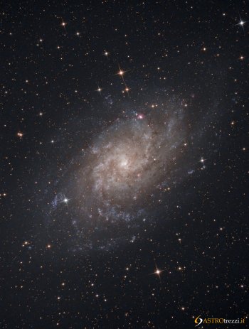 Galassia del Triangolo (M33)