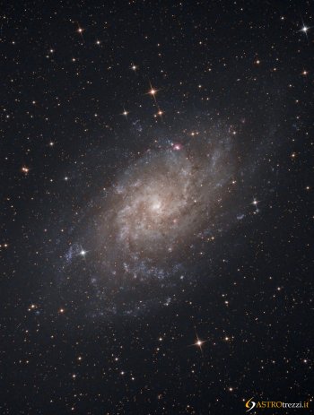 Galassia del Triangolo (M33)